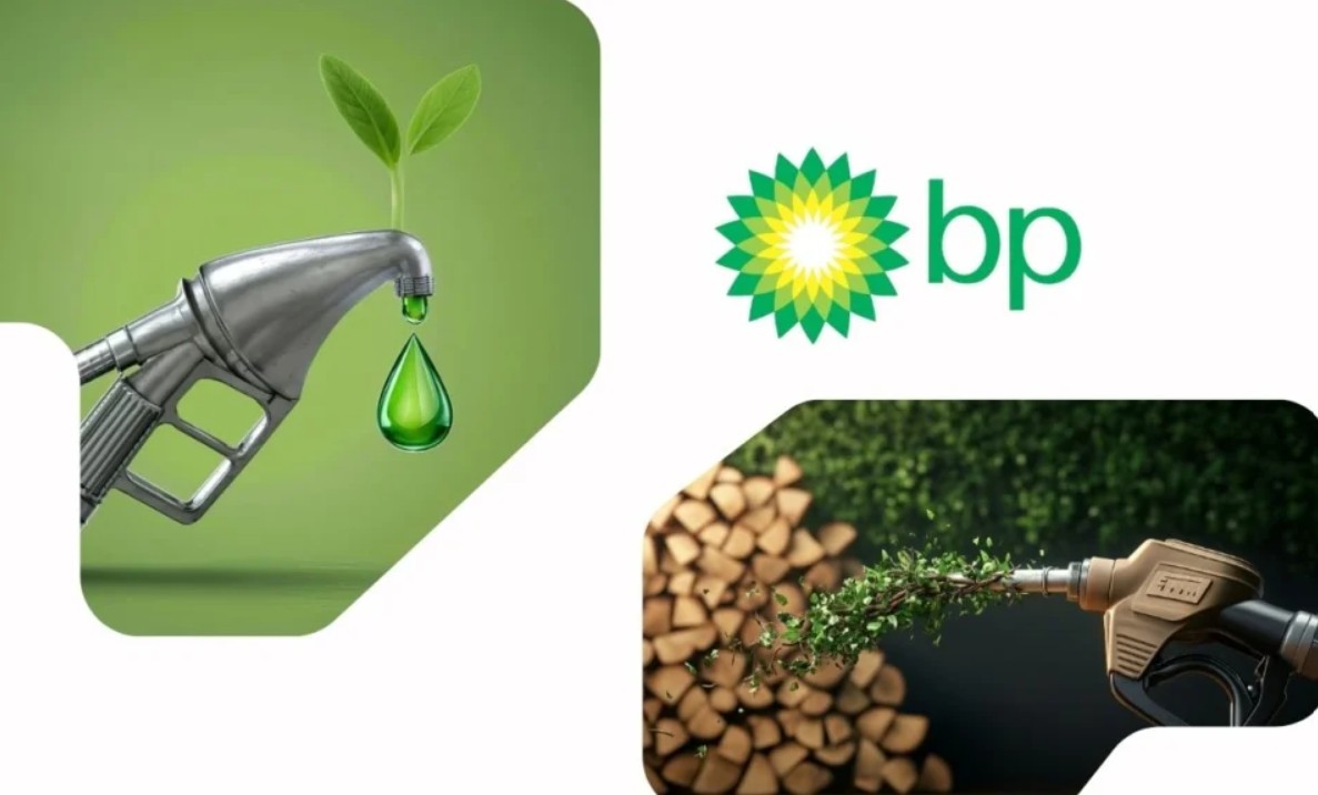 BP fortalece presença no mercado de créditos de carbono com aquisição da Finite Carbon